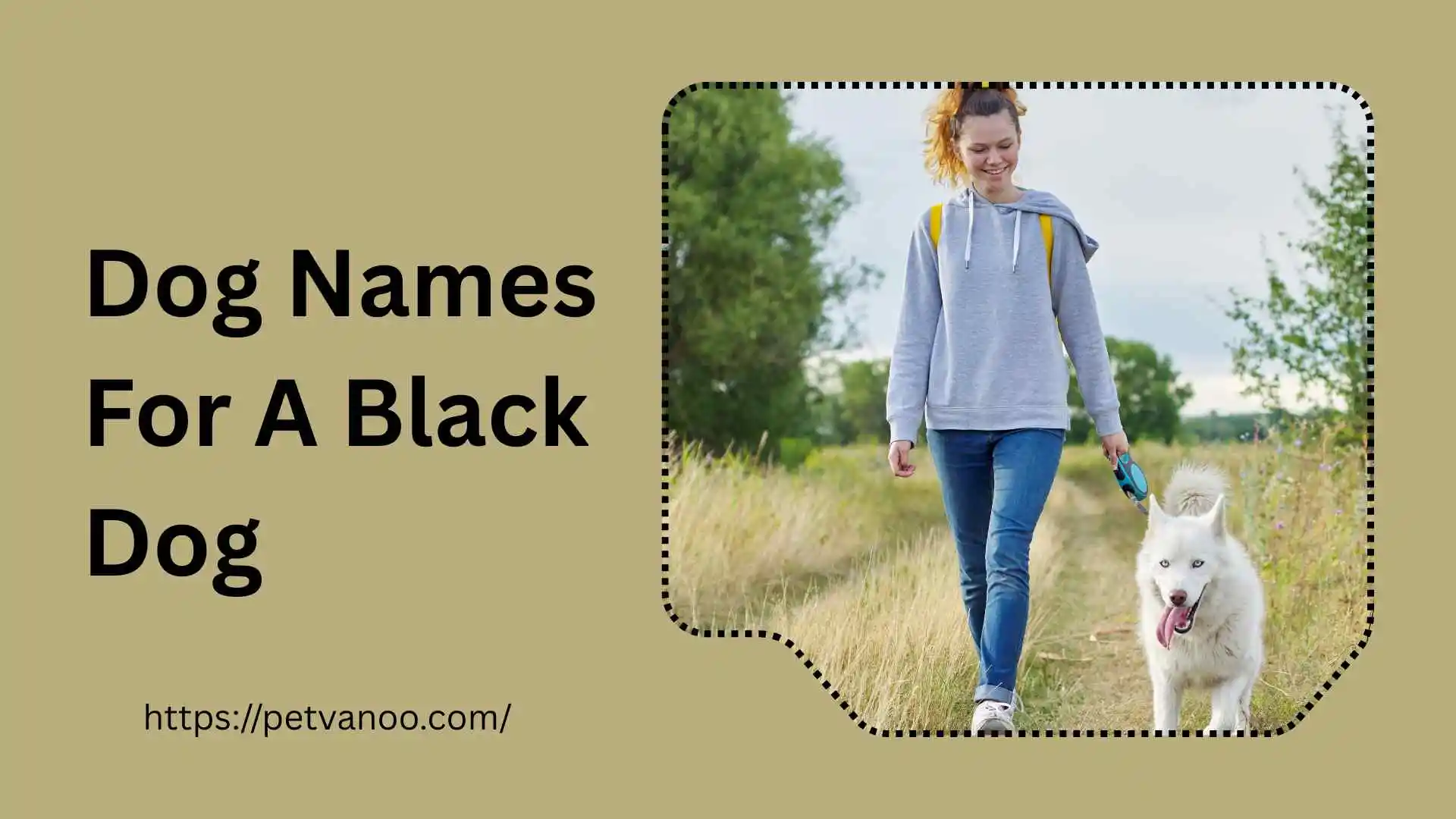 Dog names for a black Dog