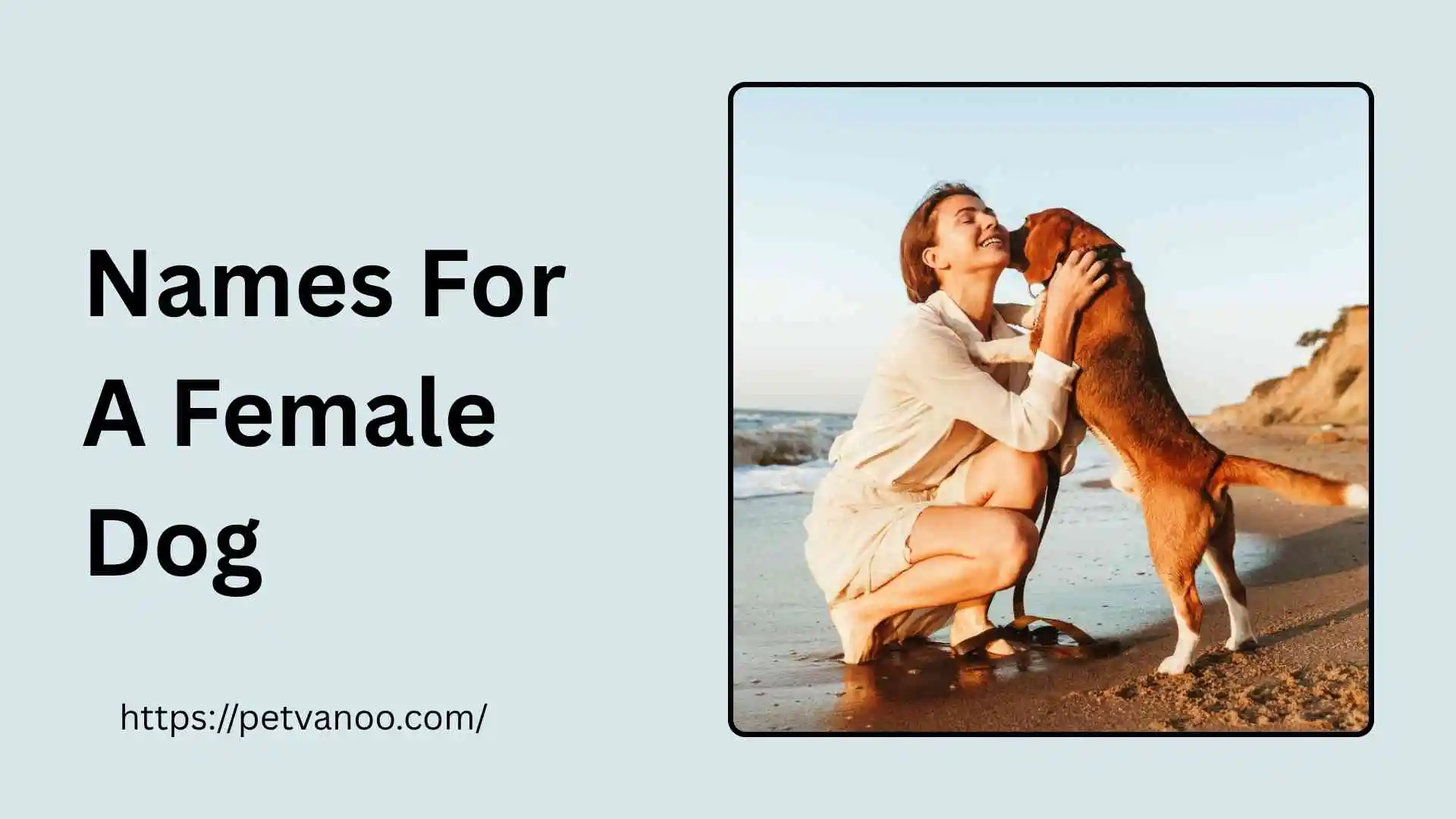 names for a female dog