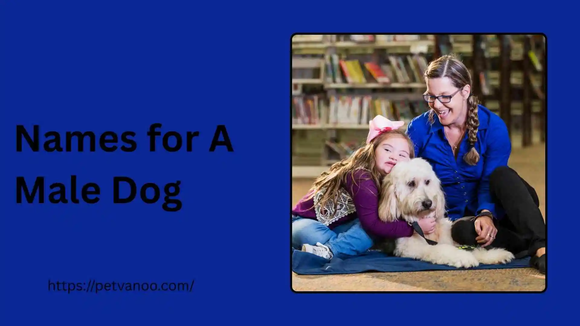 names-for-a-male-dog