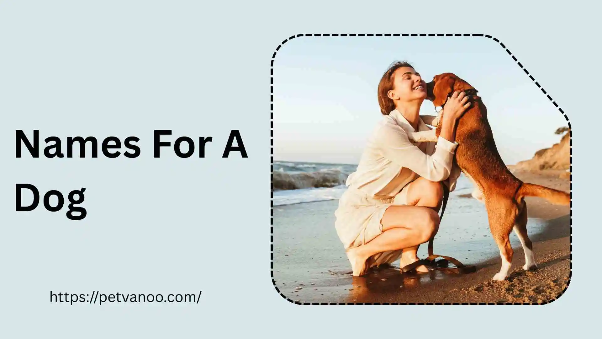 Dog names for Females