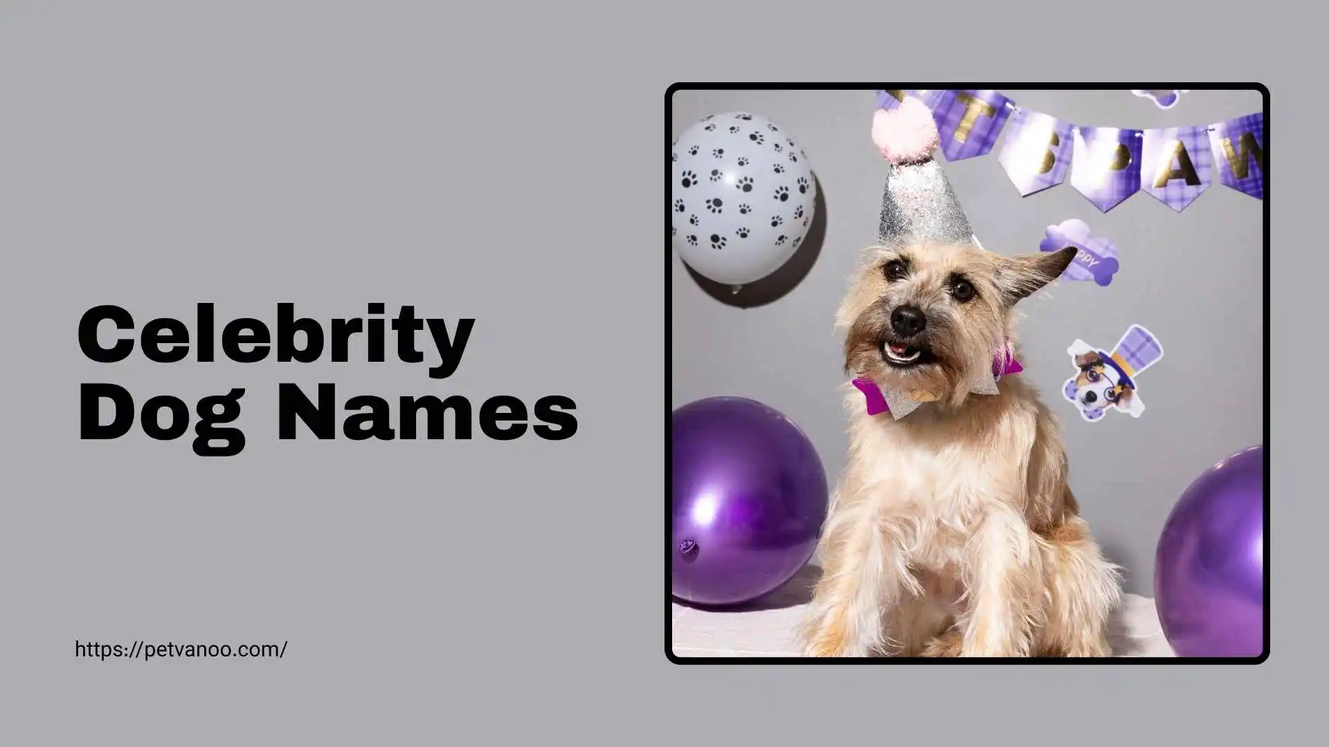 celebrity dog names