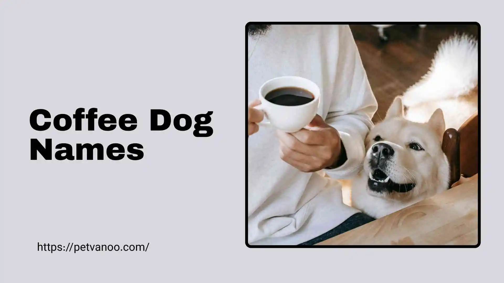 coffee dog names