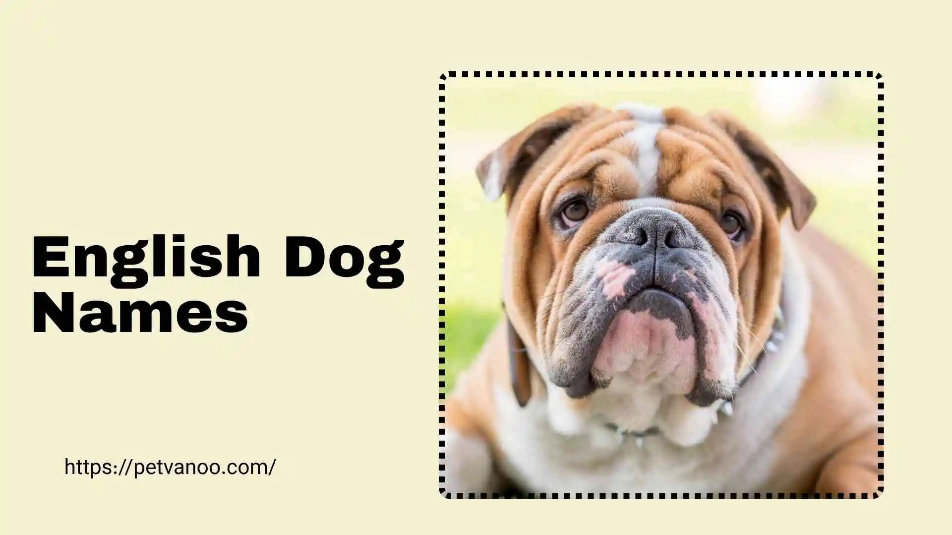 english dog names