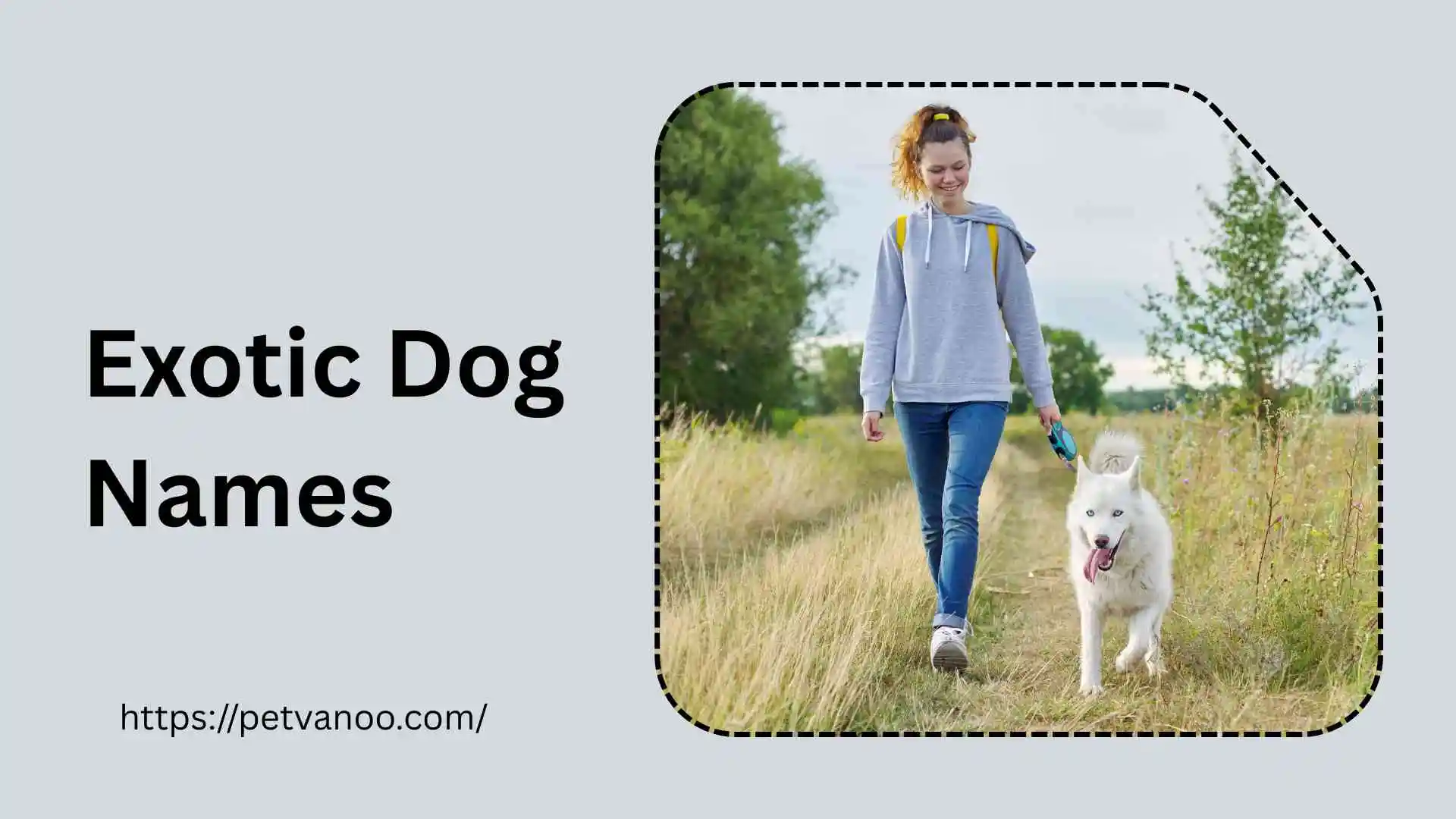 Exotic dog Names