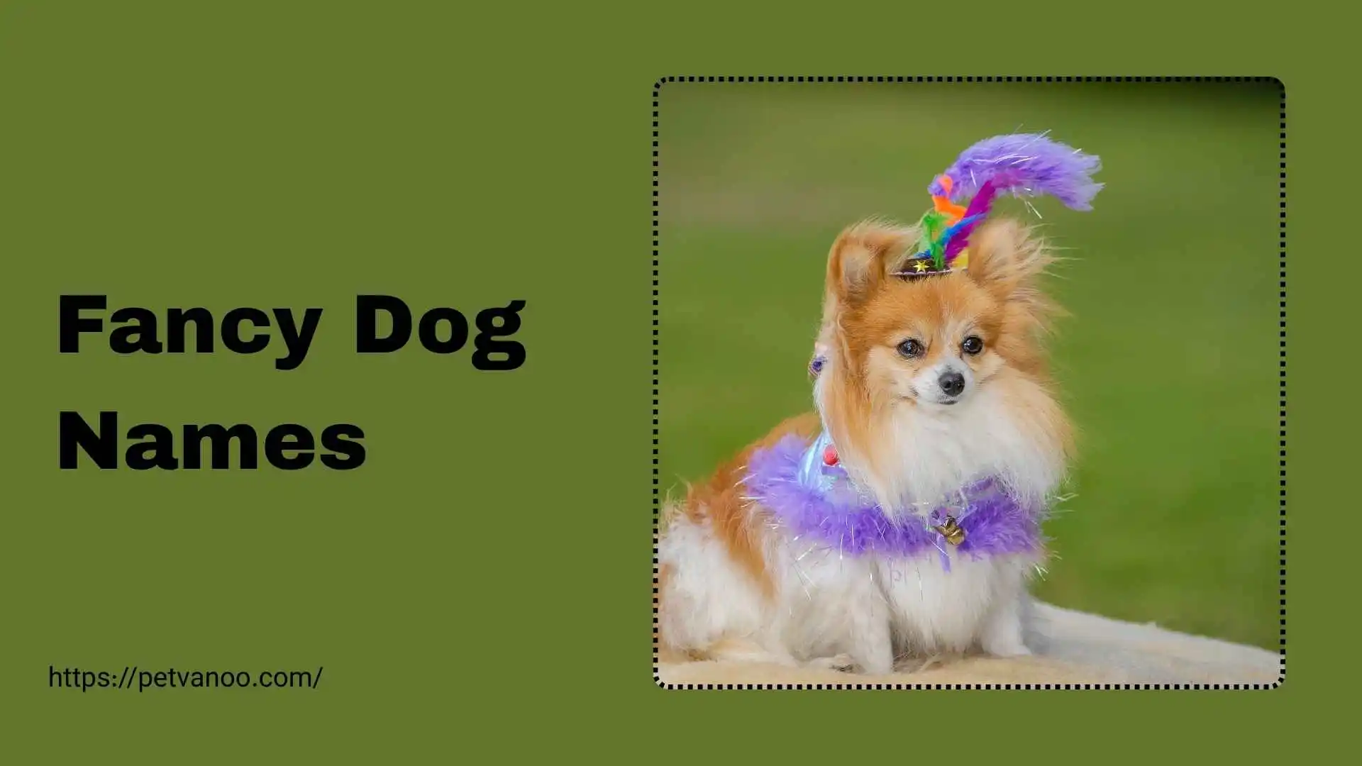 fancy dog names