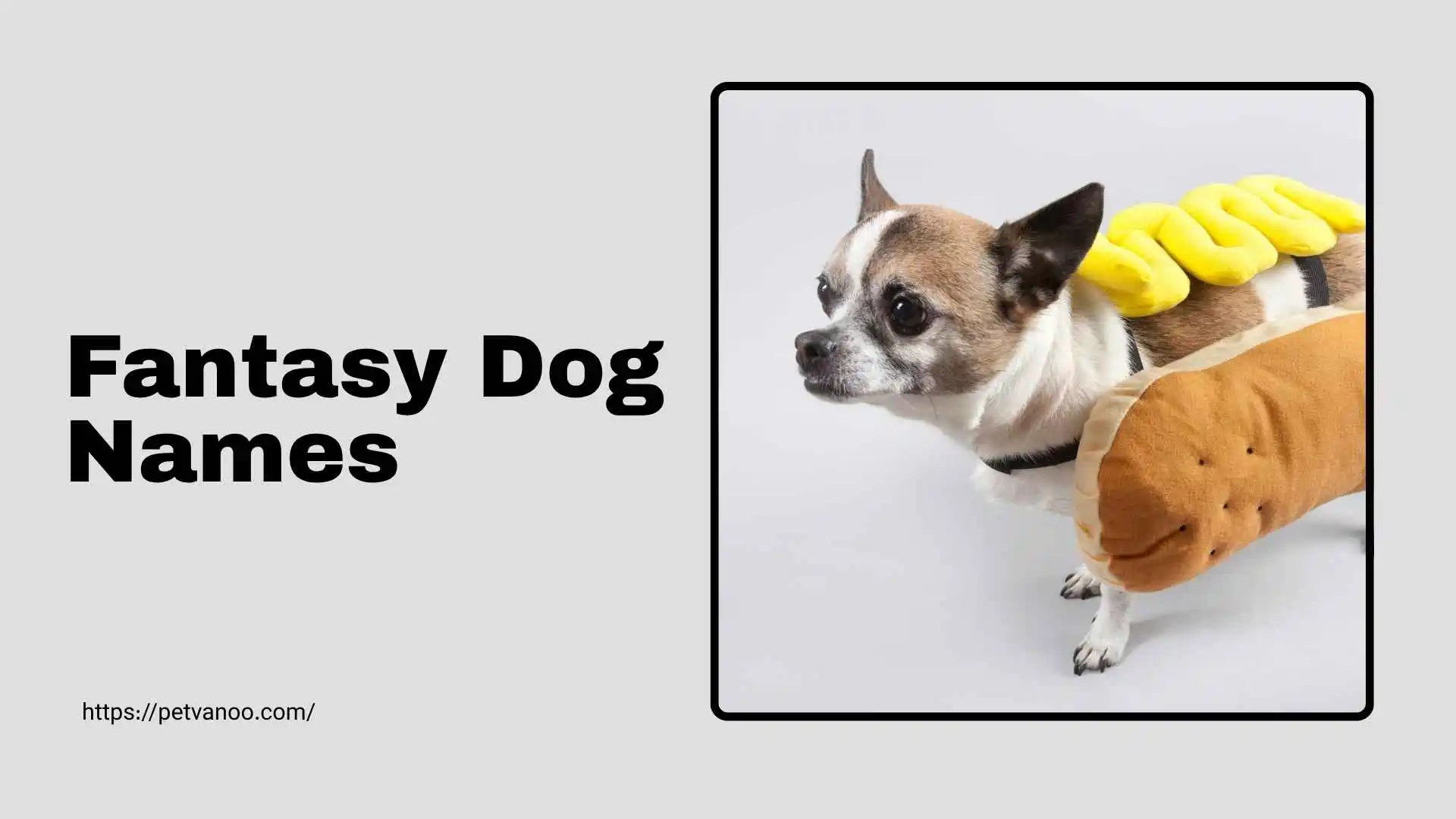 fantasy dog names