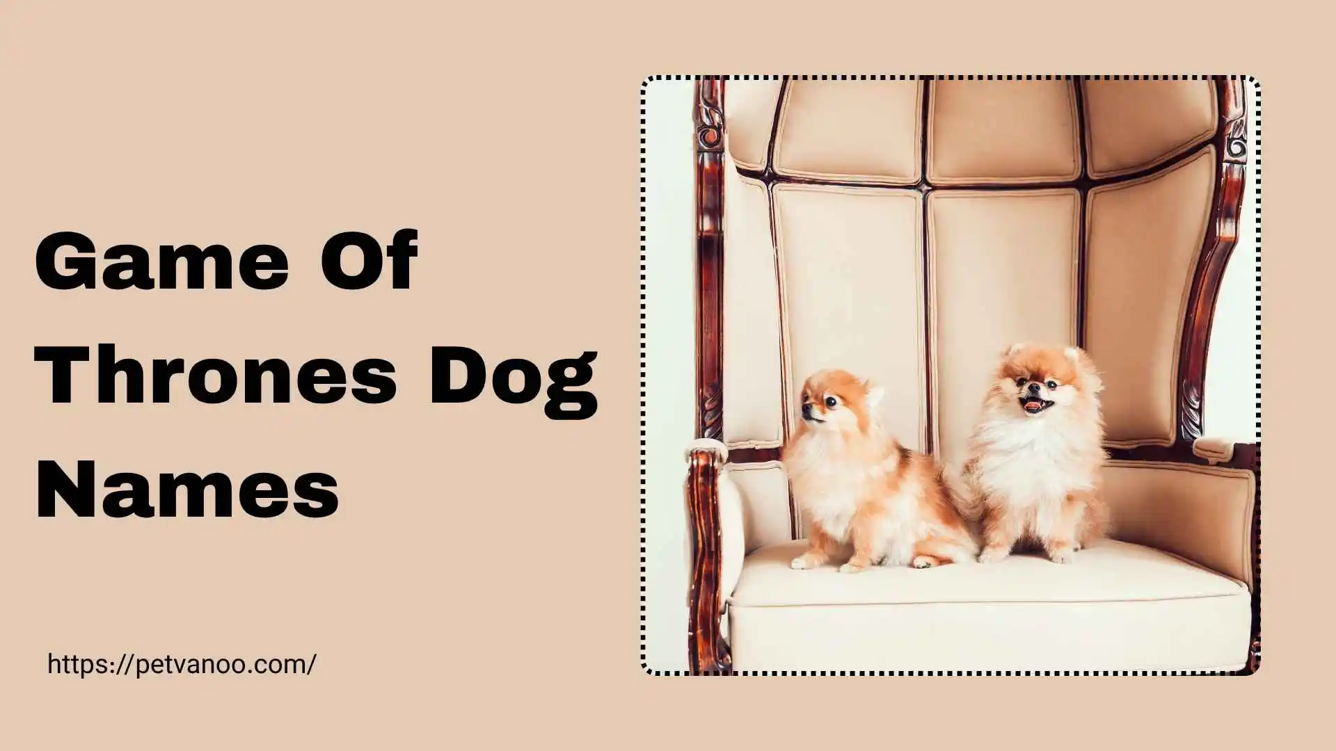 game of thrones dog names
