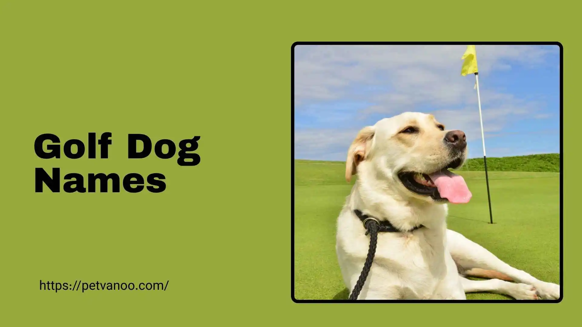 golf dog names
