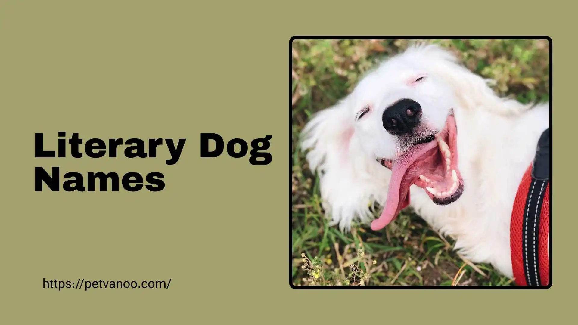 literary-dog-names