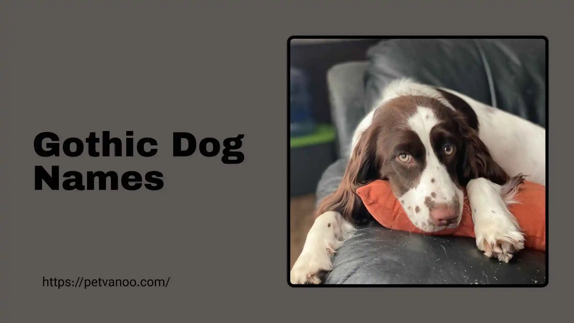gothic dog names