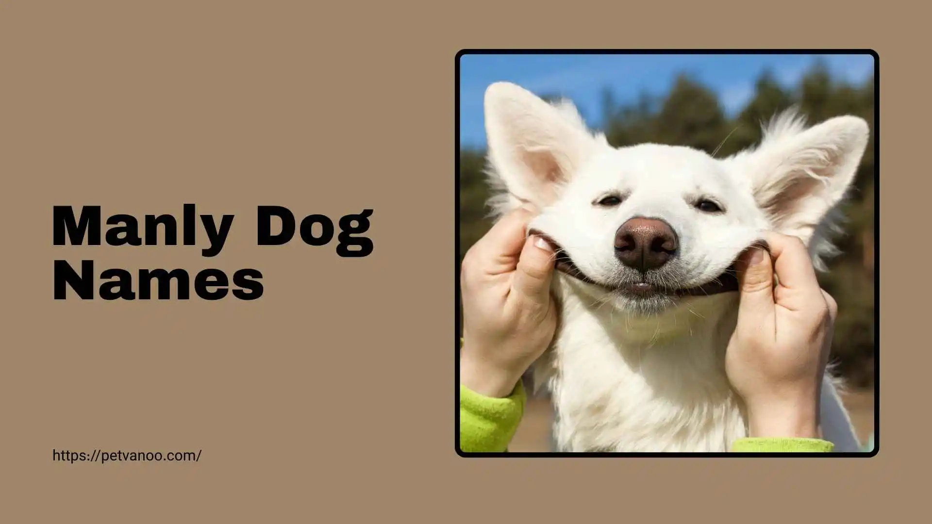 manly dog names