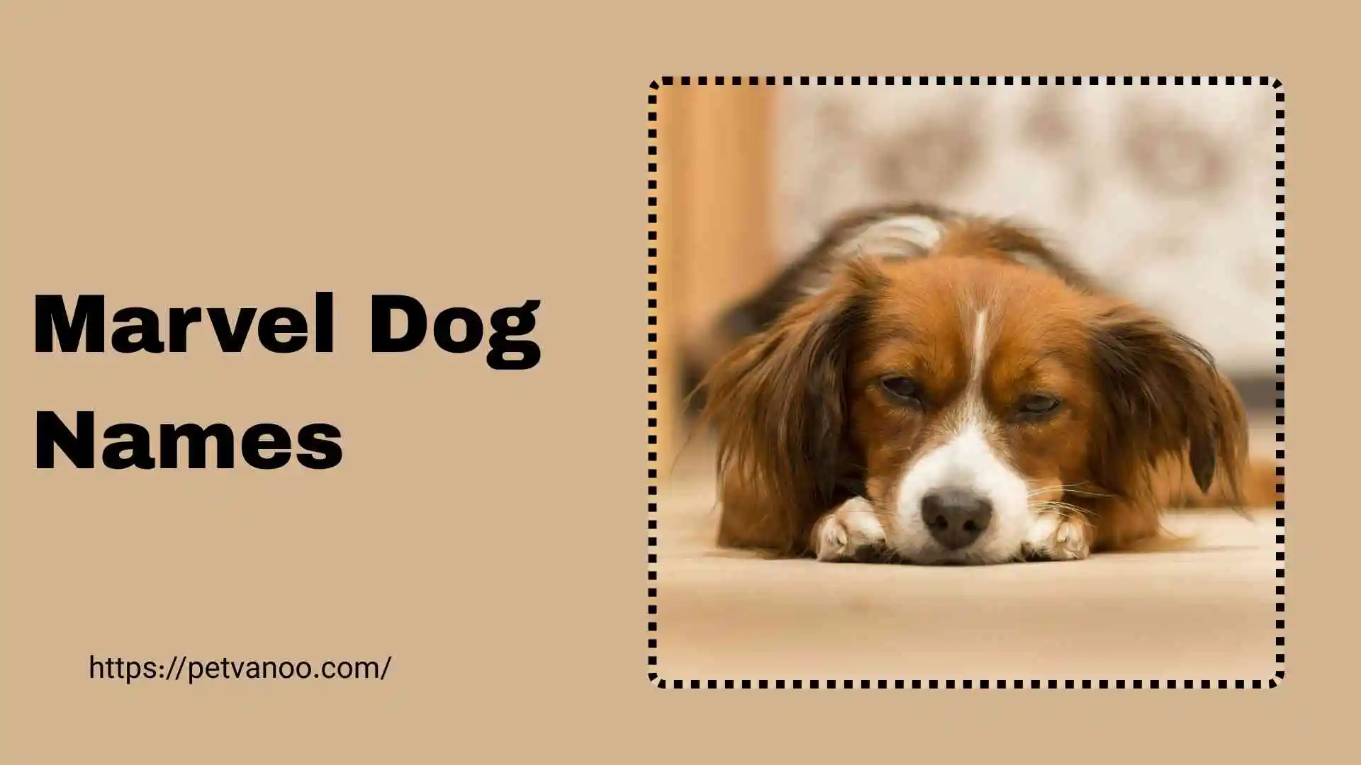 marvel dog names