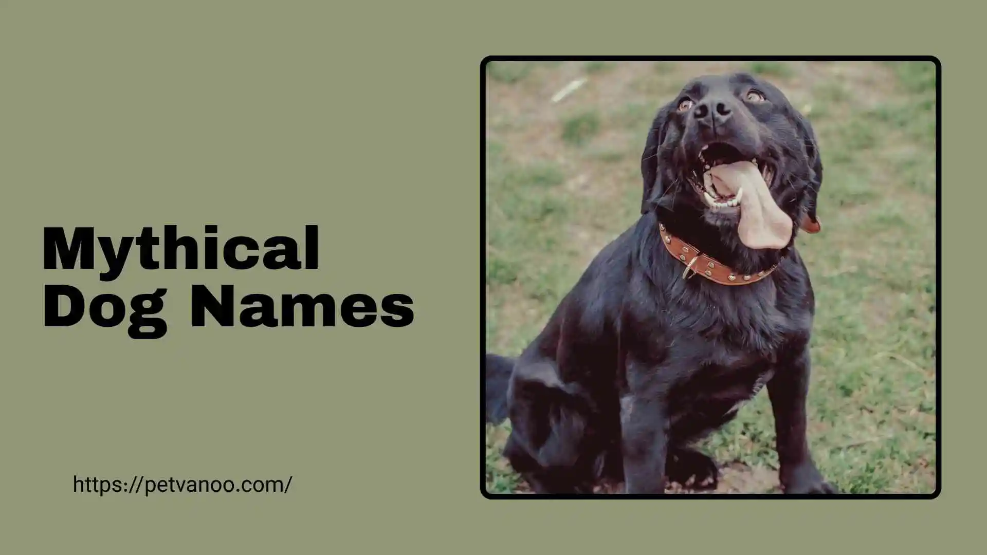 mythical dog names