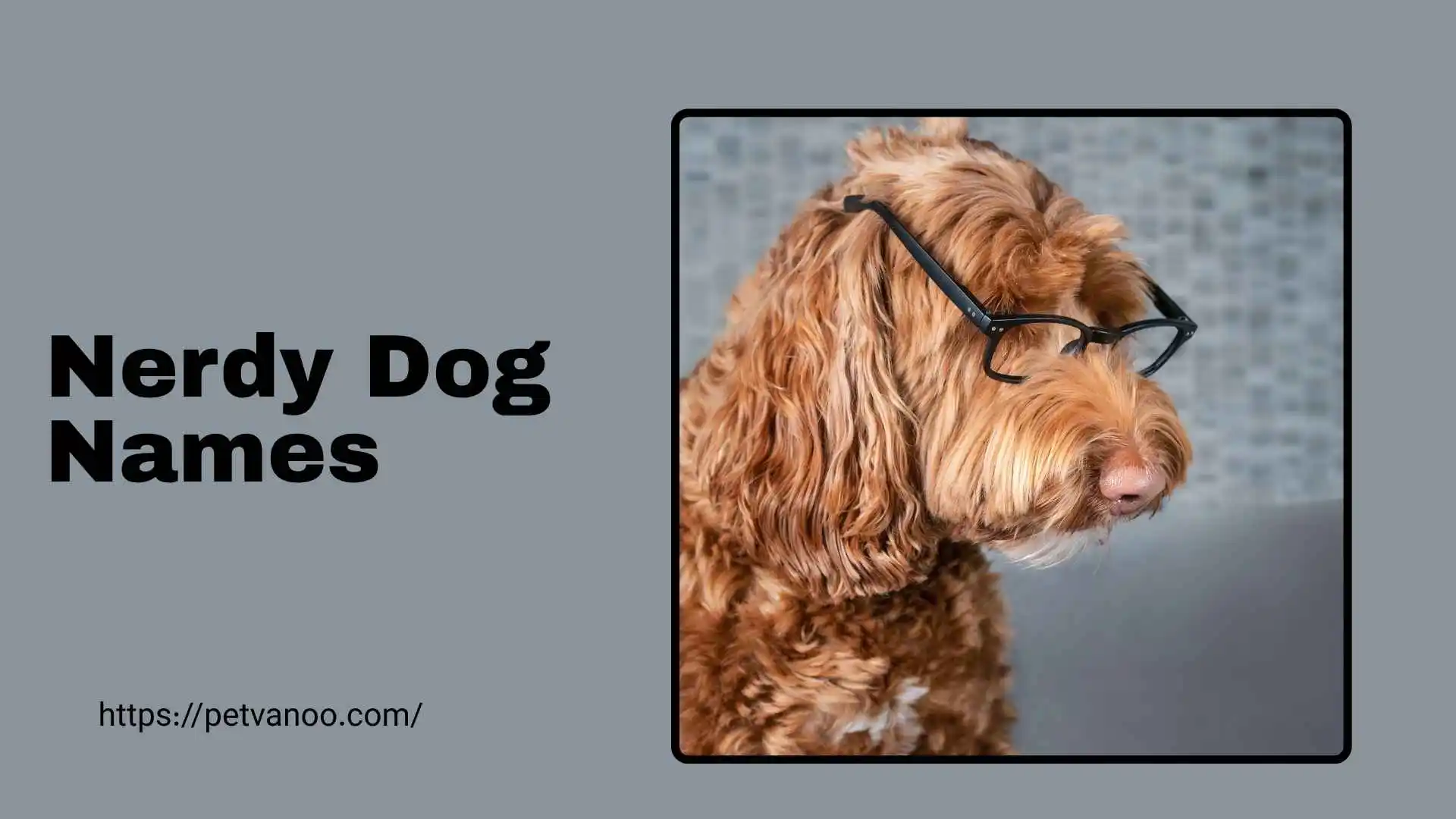 nerdy-dog-names
