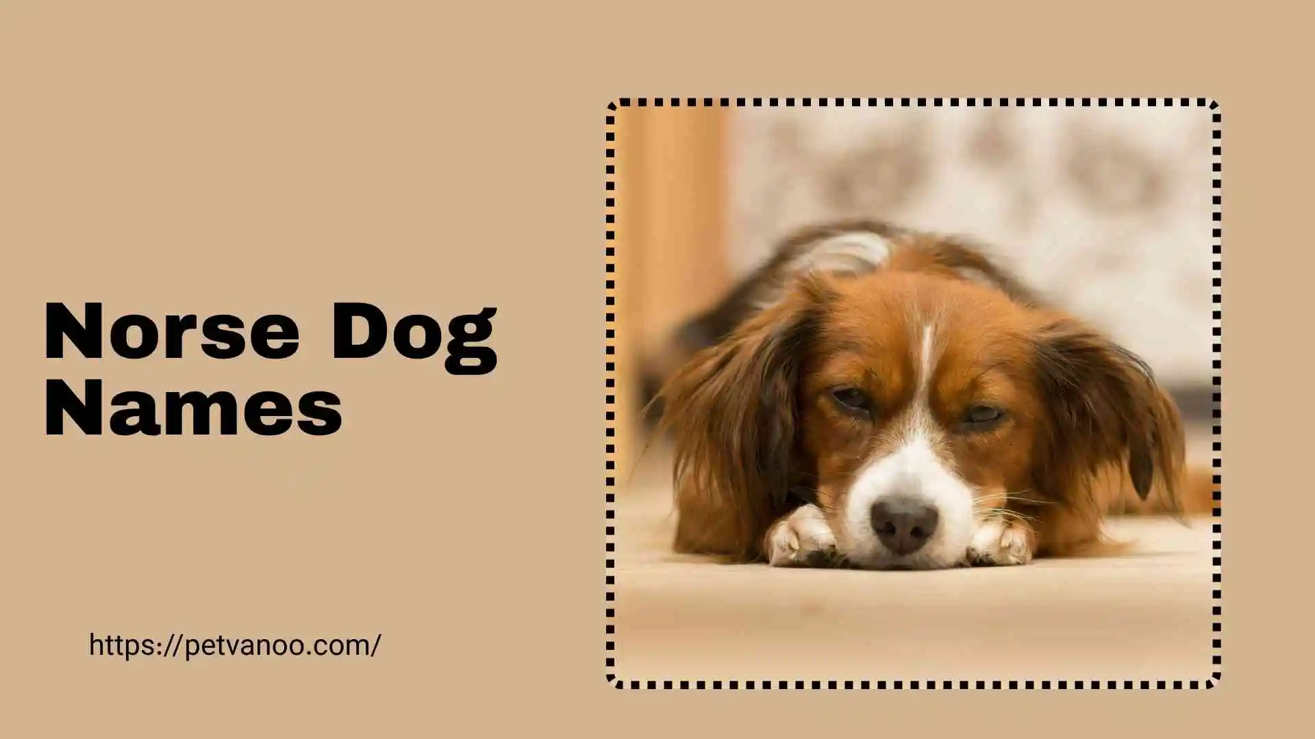 norse dog names