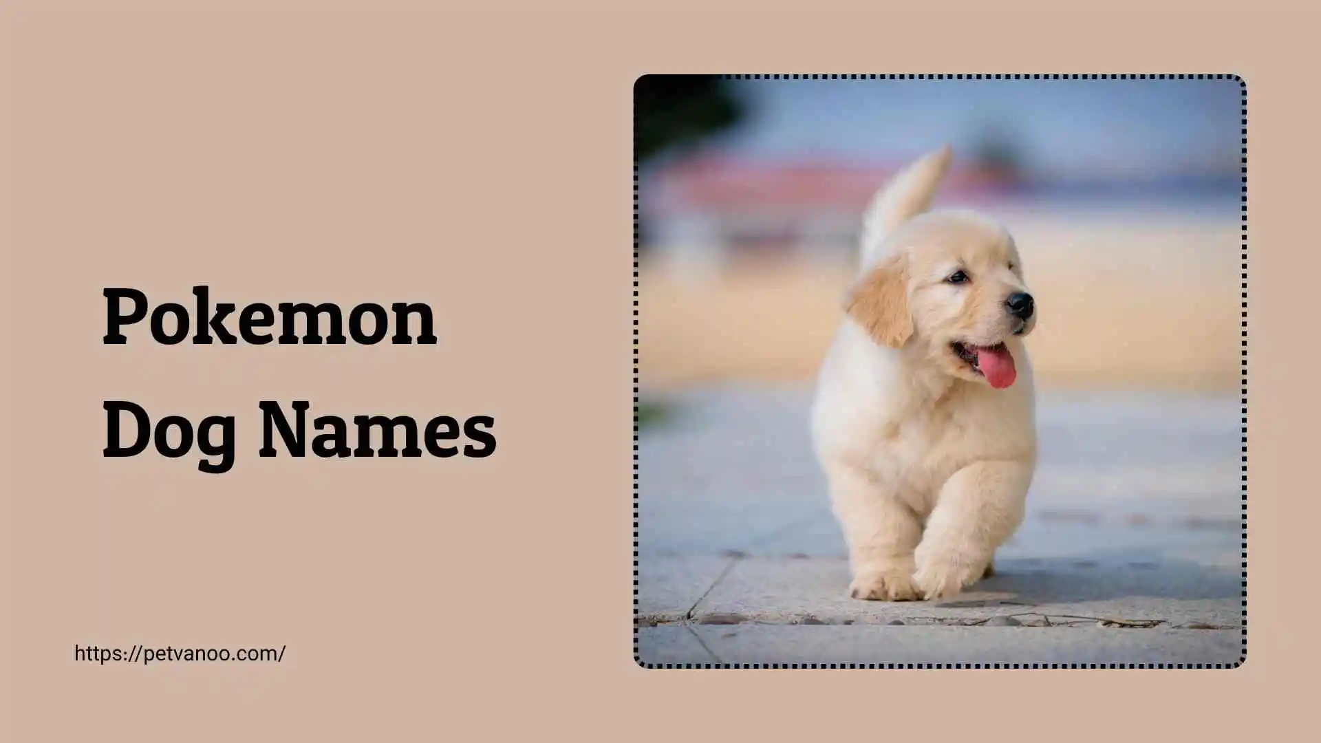 Pokemon dog Names