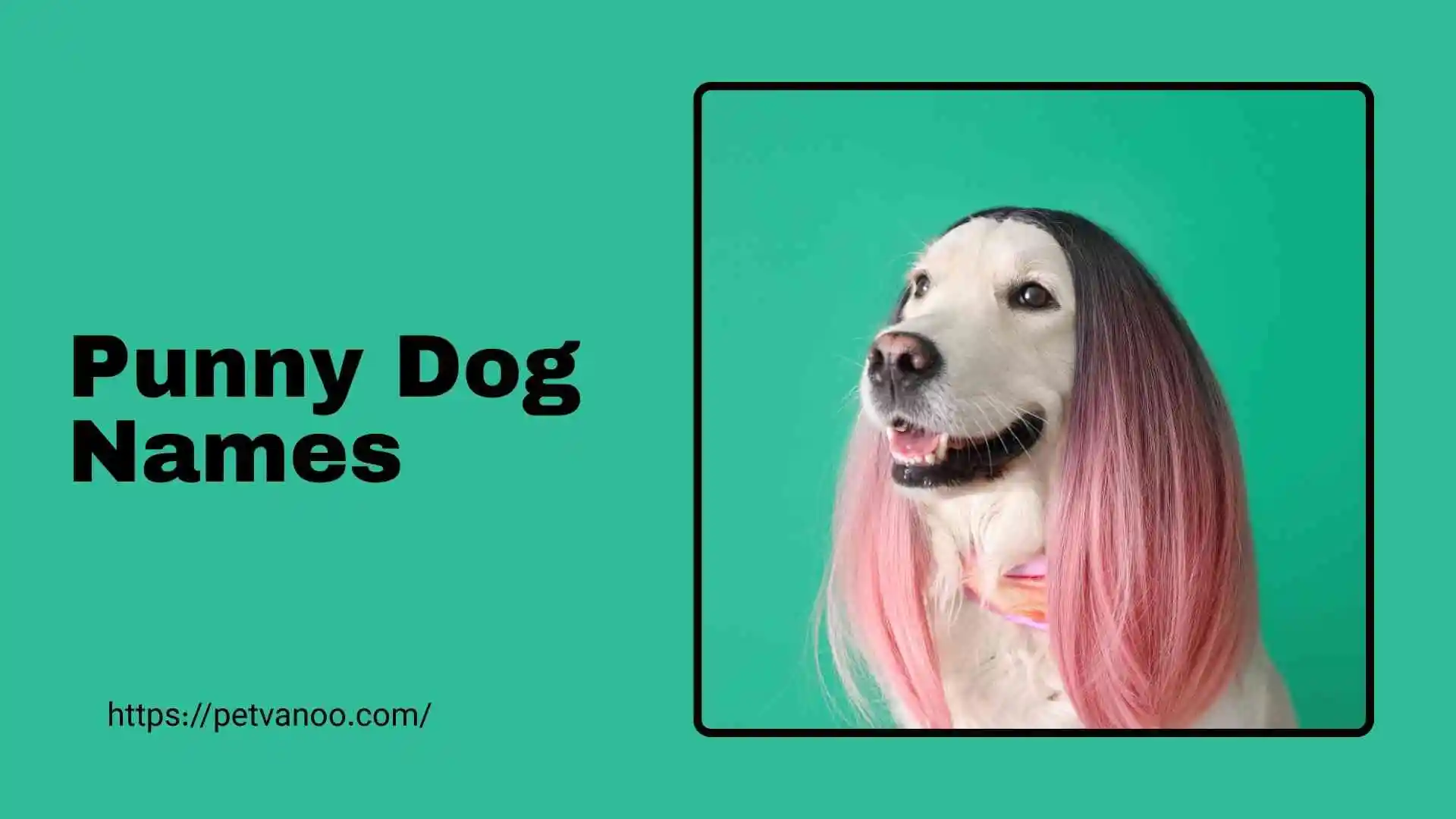 punny dog names