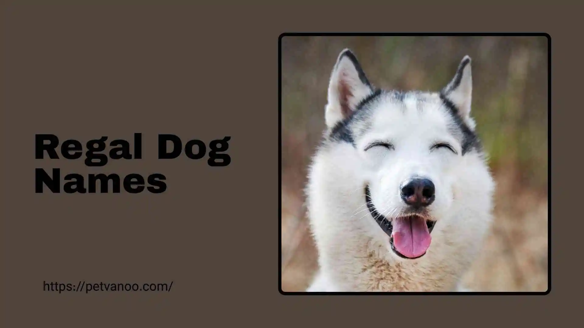 regal dog names