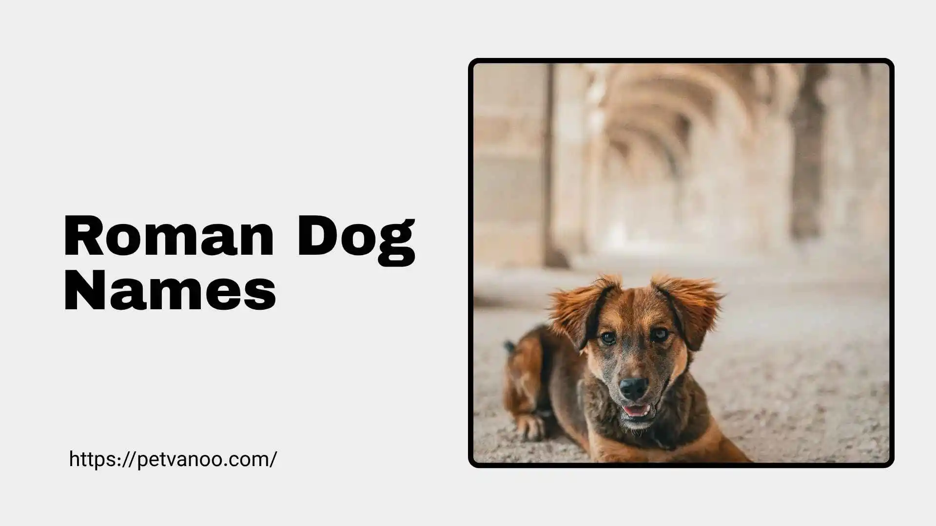 roman dog names