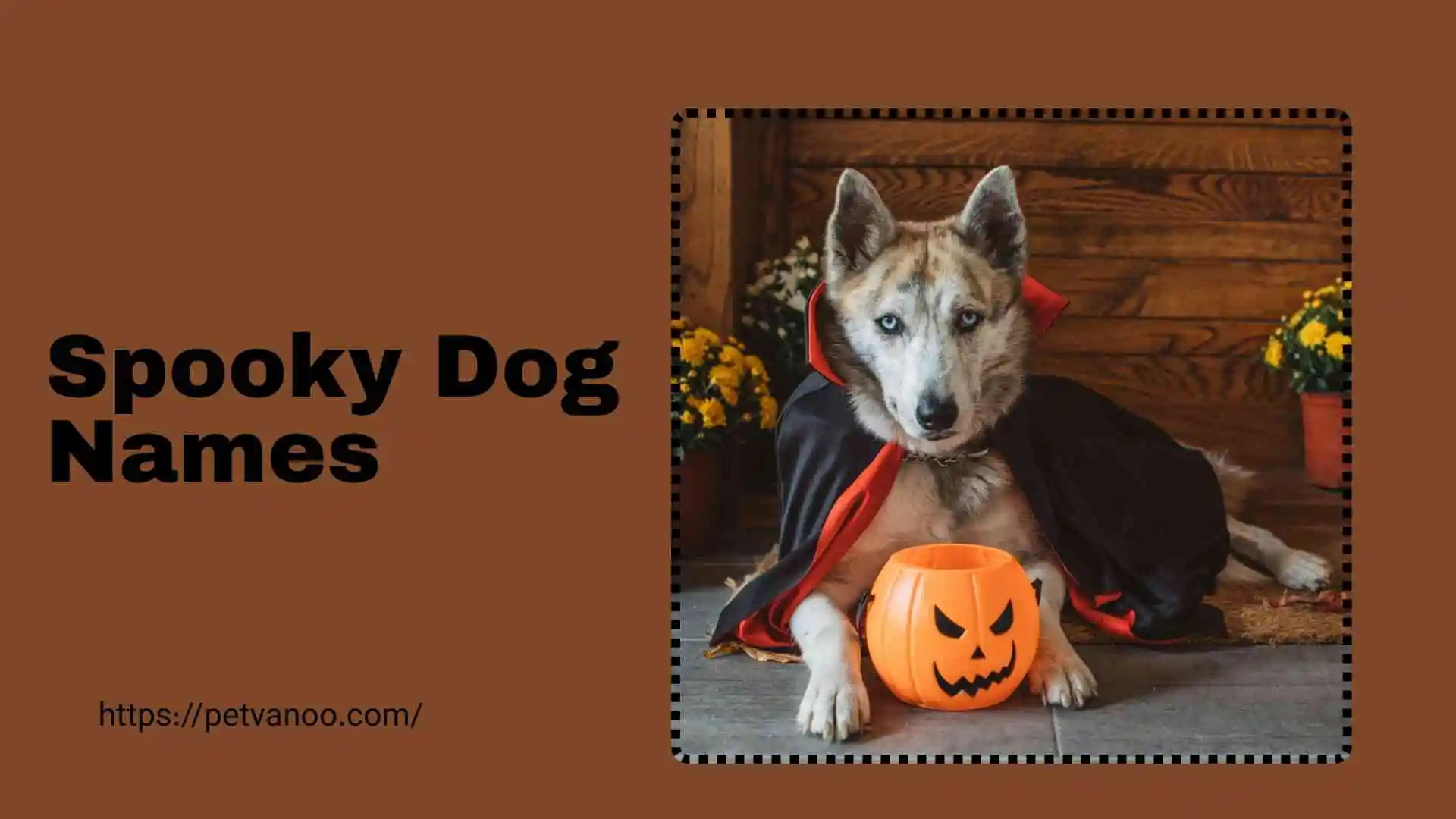spooky dog names