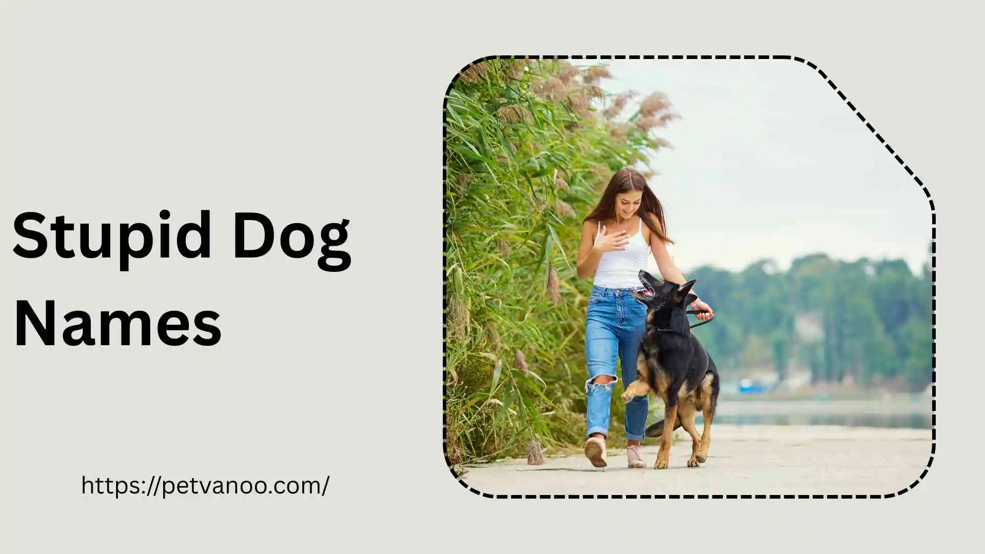 Stupid dog Names