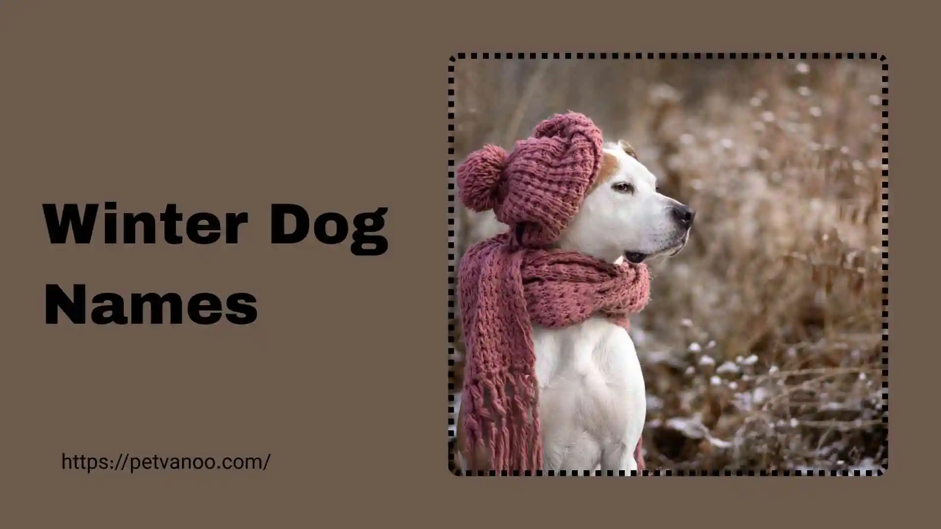 winter dog names