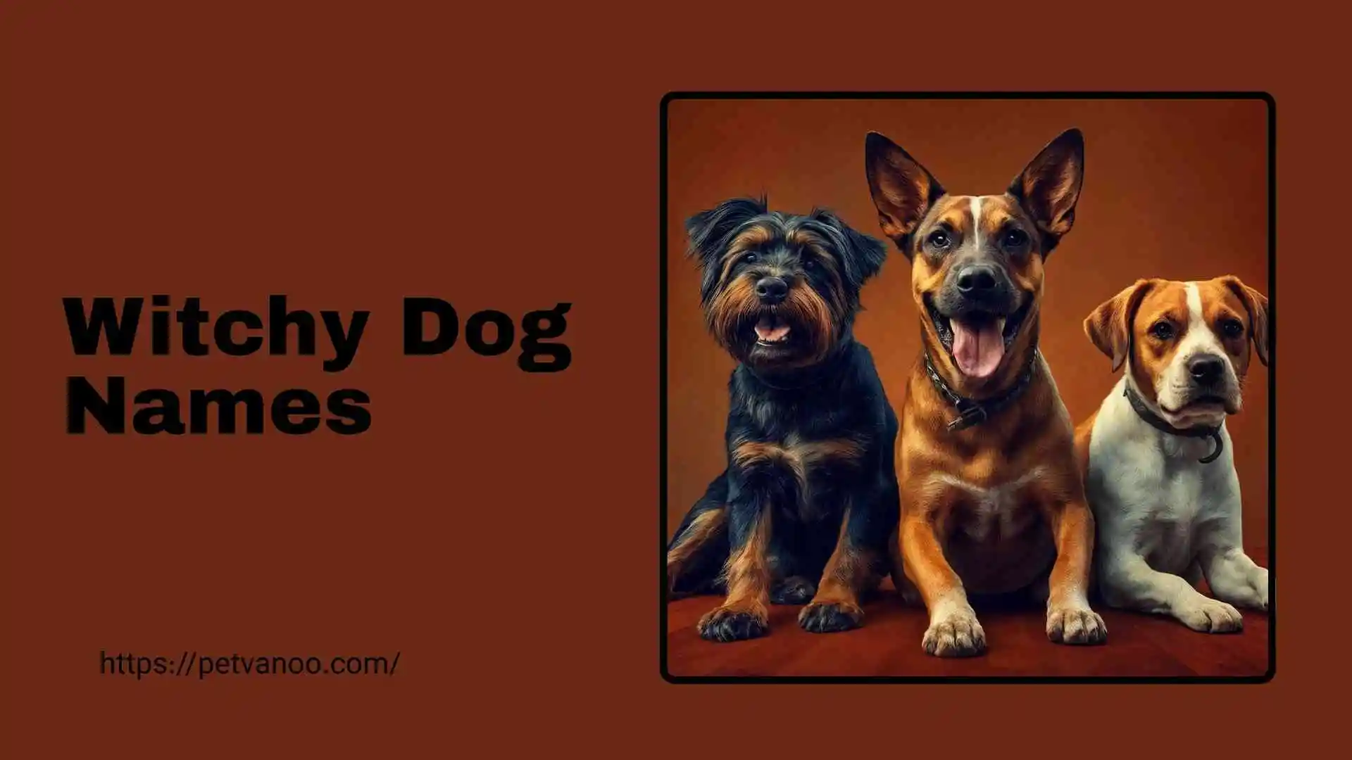 witchy dog names