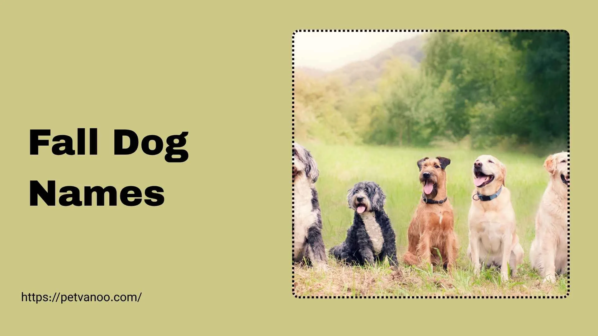 fall dog names