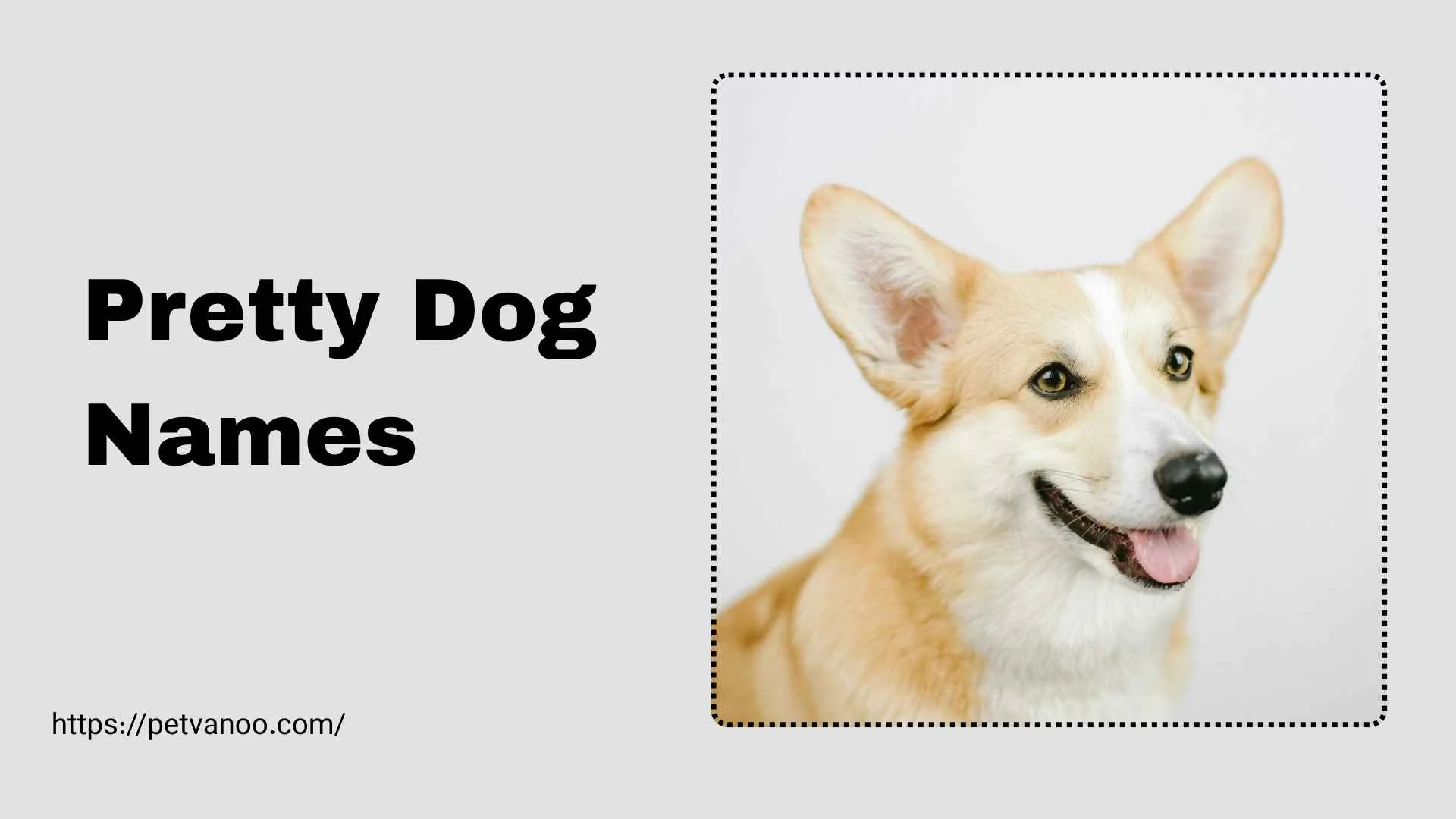 pretty dog names